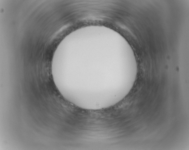 X0000070830870200607142338