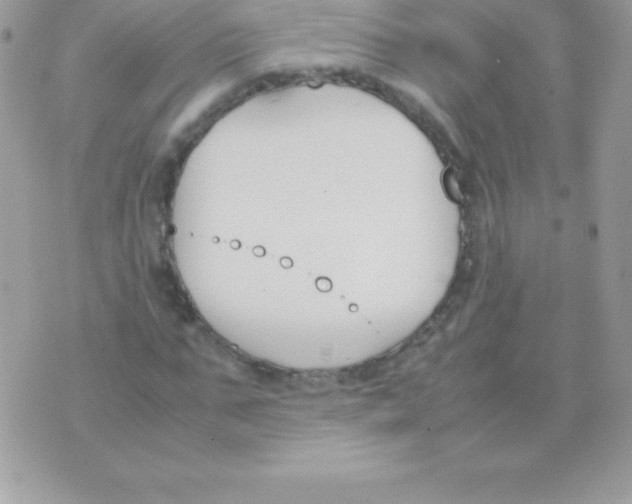 X0000070830871200607142338