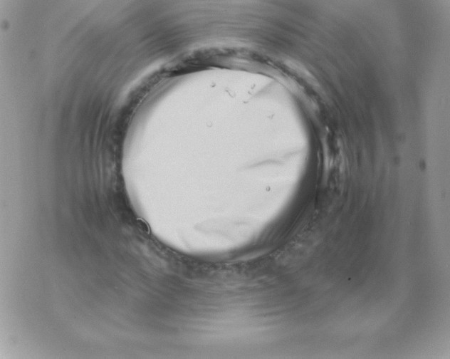 X0000070830872200607142338