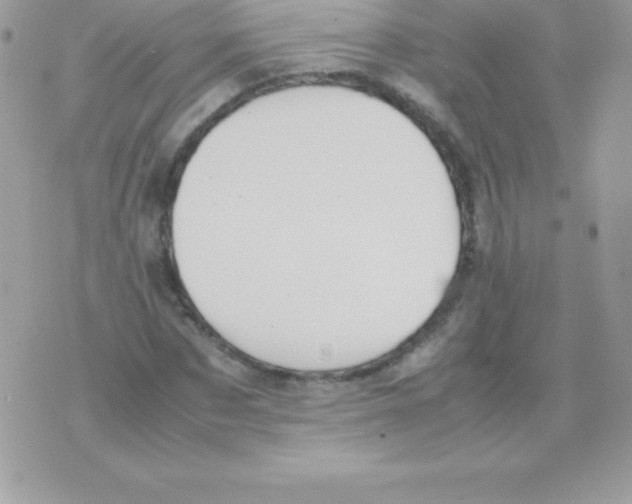 X0000070830873200607142338