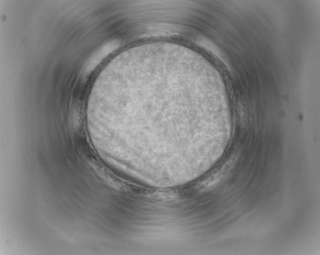 X0000070830874200607142338