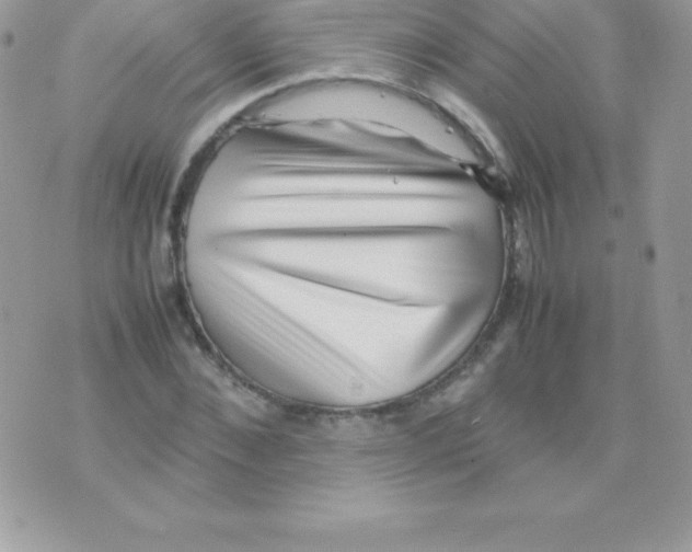 X0000070830876200607142338