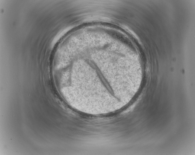 X0000070830877200607142338