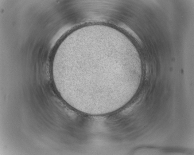 X0000070830878200607142338