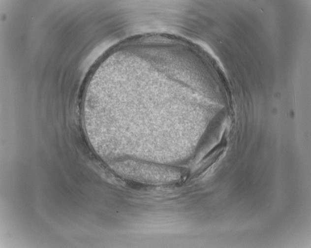 X0000070830879200607142338