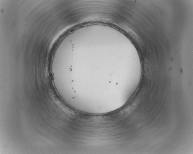 X0000070830880200607142338