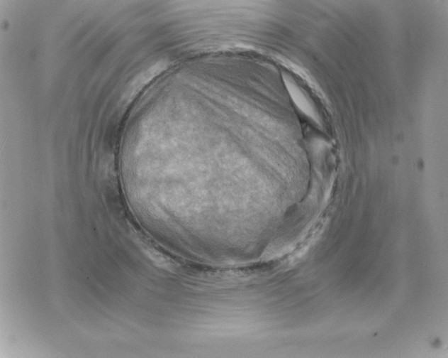 X0000070830881200607142338