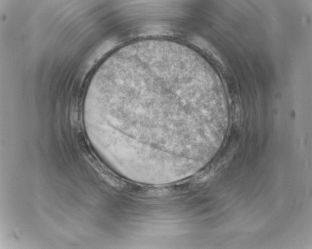 X0000070830882200607142338