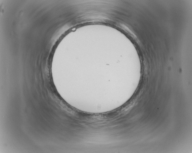 X0000070830883200607142338