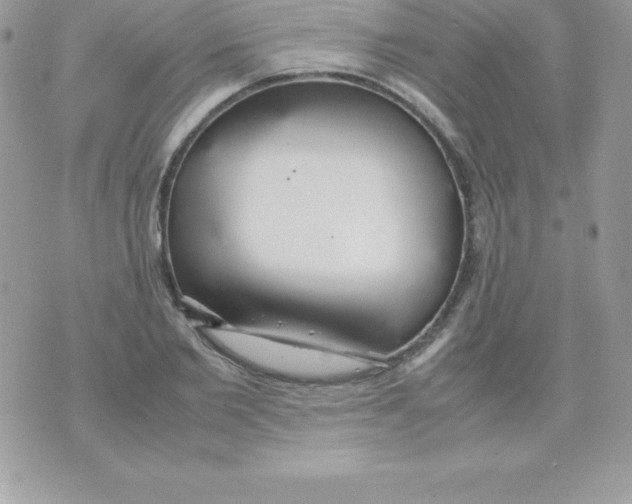 X0000070830885200607142338