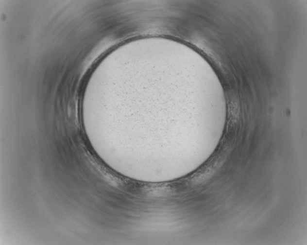 X0000070830886200607142338