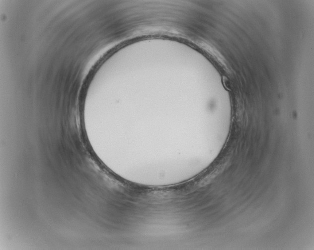 X0000070830888200607142338