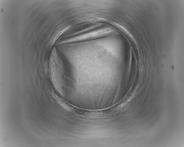 X0000070830889200607142338