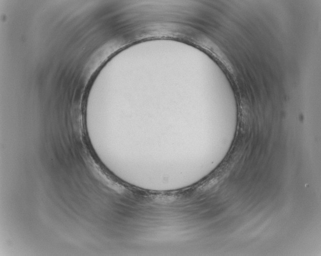 X0000070830890200607142338