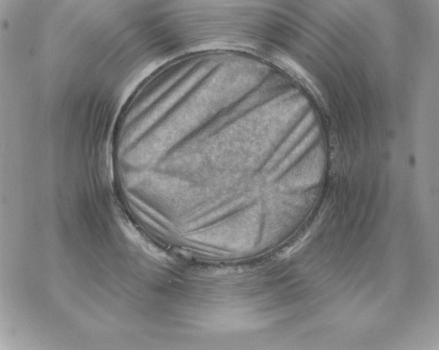 X0000070830892200607142338