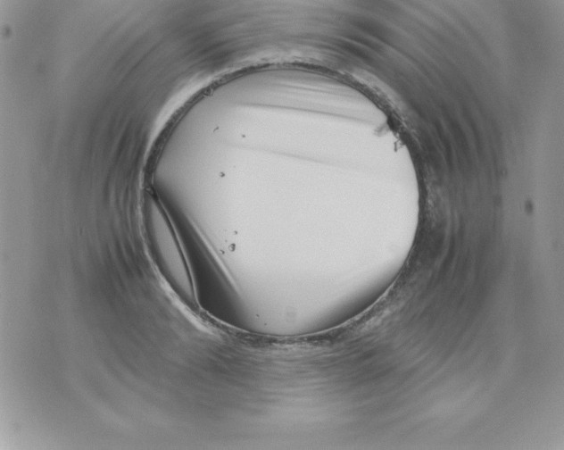 X0000070830894200607142338