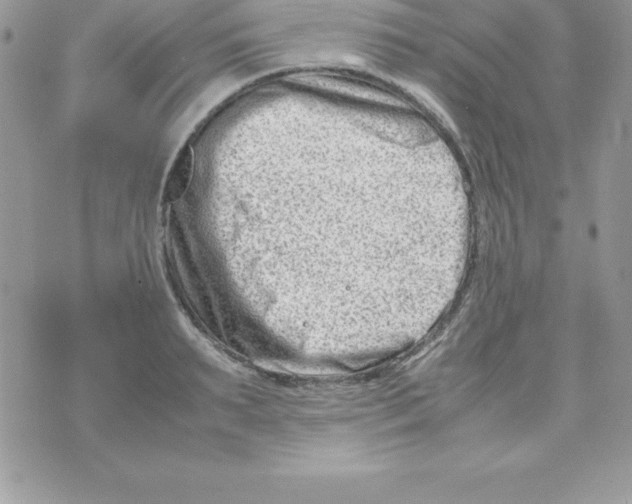 X0000070830895200607142338