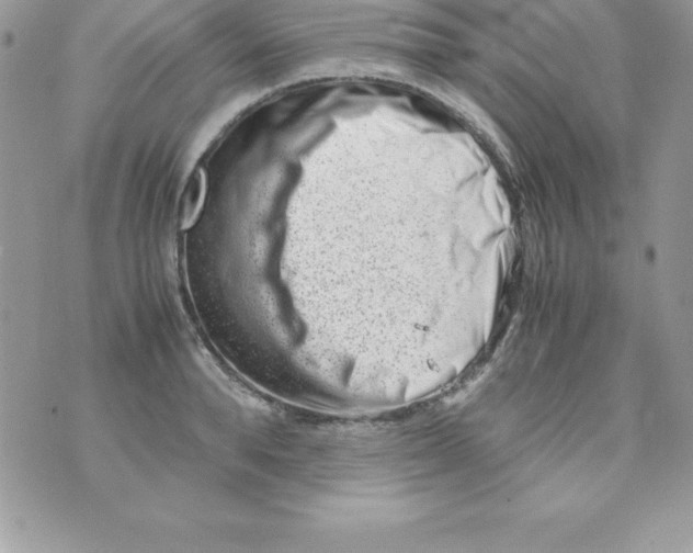 X0000070830896200607142338