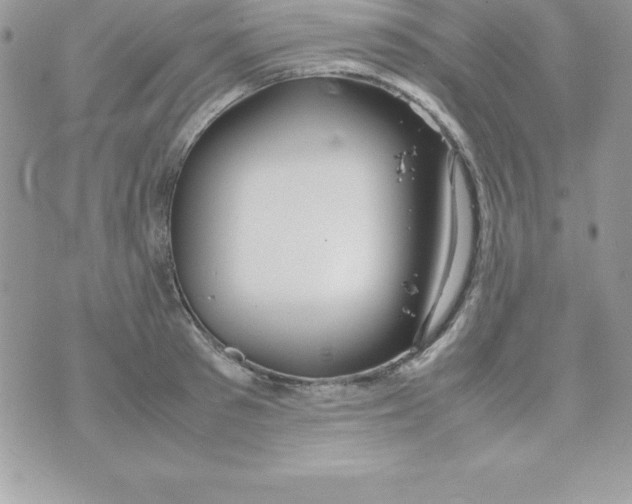 X0000070830897200607142338