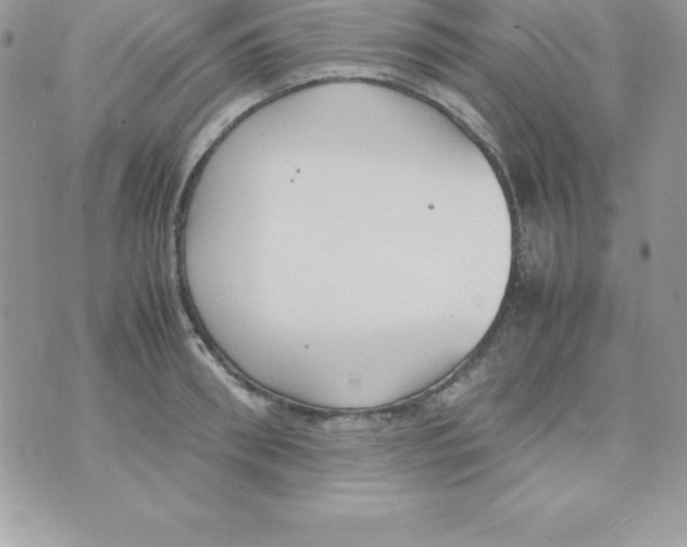 X0000070830898200607142338