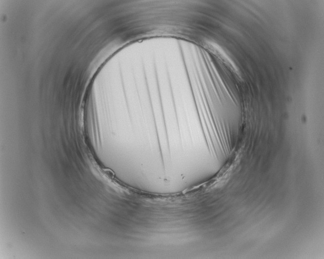 X0000070830900200607142338