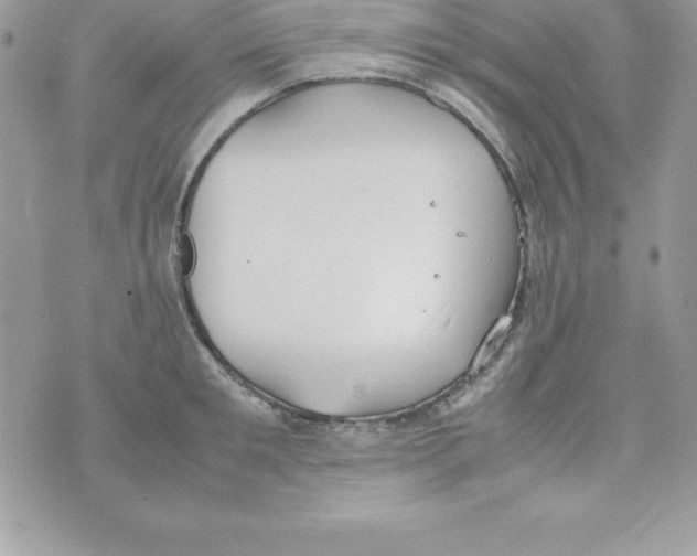 X0000070830901200607142338