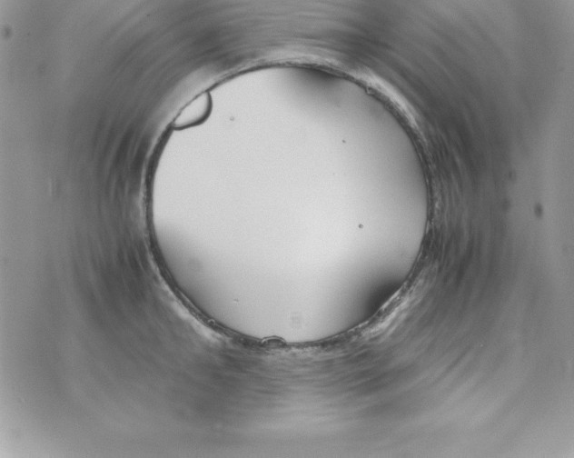 X0000070830902200607142338