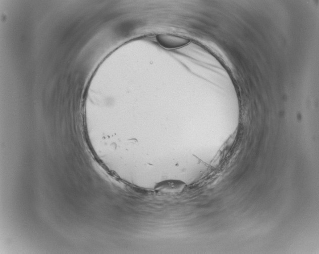 X0000070830903200607142338