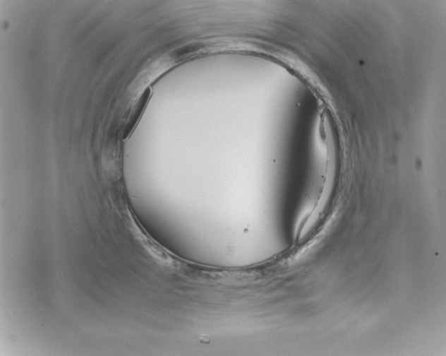 X0000070830905200607142338