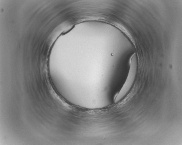 X0000070830906200607142338