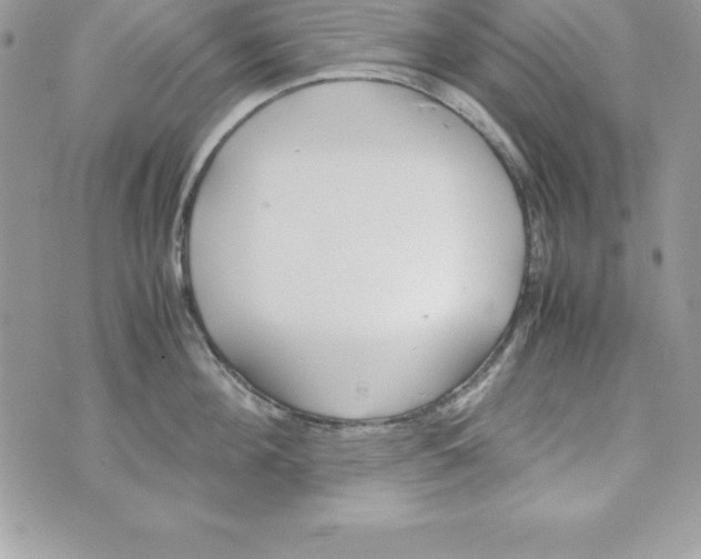 X0000070830908200607142338