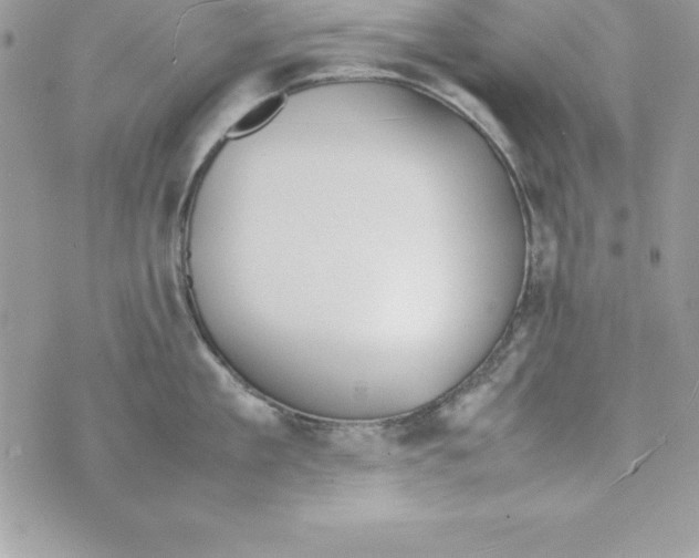 X0000070830909200607142338