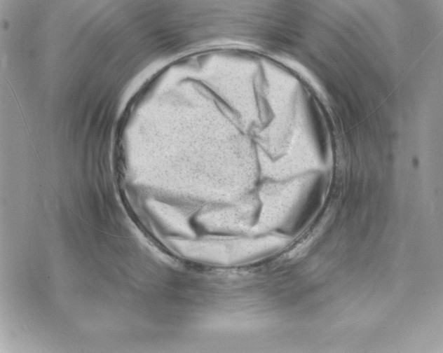 X0000070830910200607142338