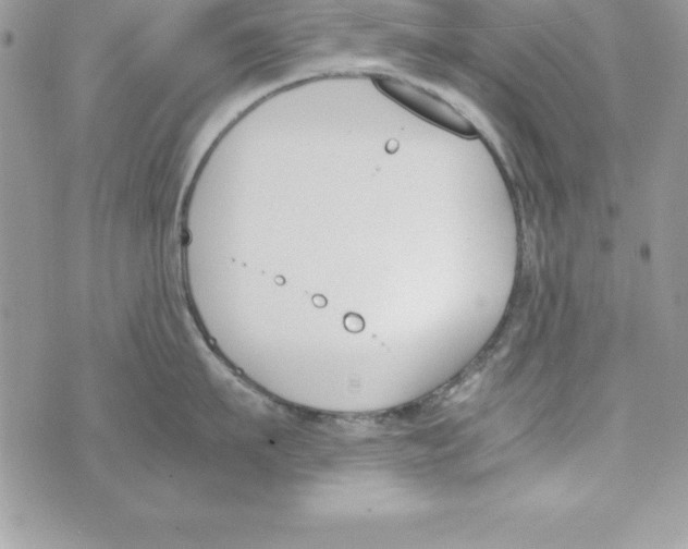 X0000070830911200607142338