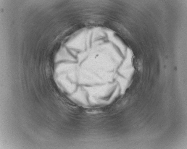 X0000070830915200607142337