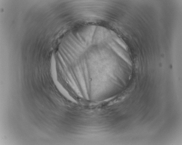 X0000070830916200607142337