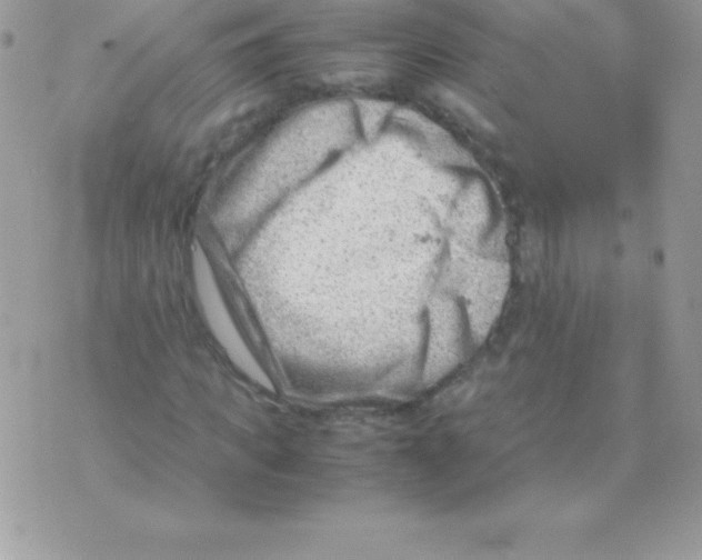 X0000070830917200607142337