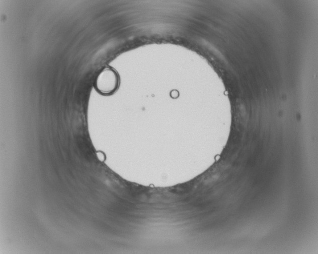 X0000070830918200607142337