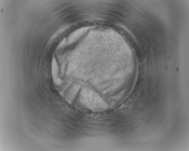 X0000070830919200607142337