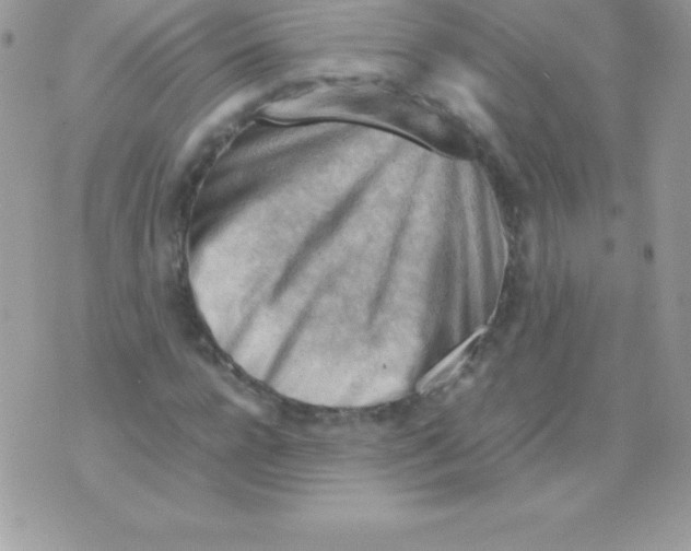 X0000070830920200607142337