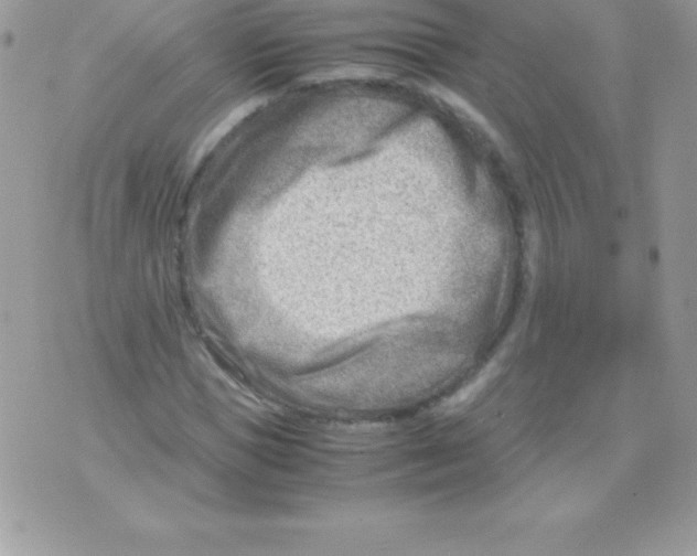 X0000070830921200607142337