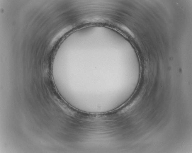 X0000070830922200607142337