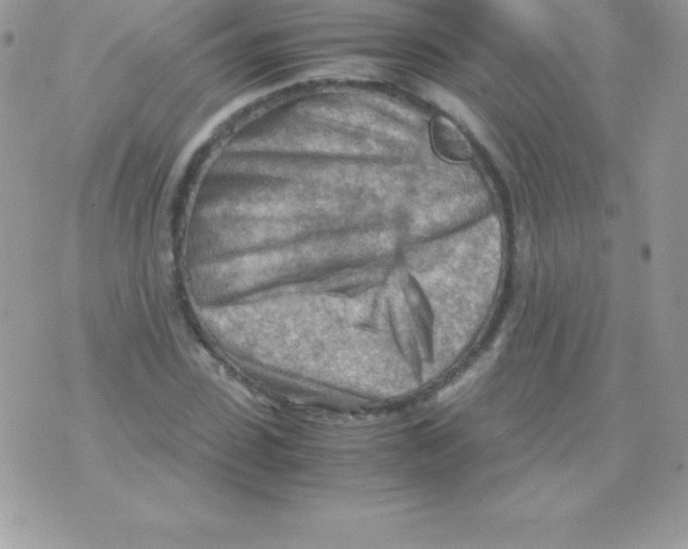 X0000070830923200607142337