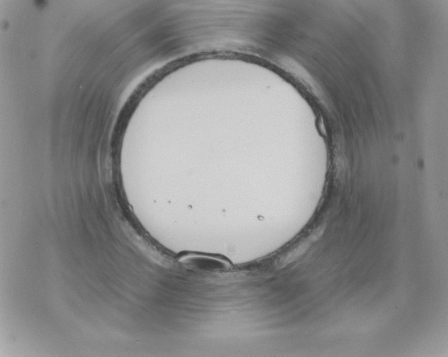 X0000070830924200607142337