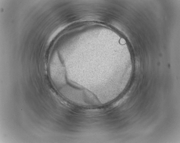 X0000070830925200607142337