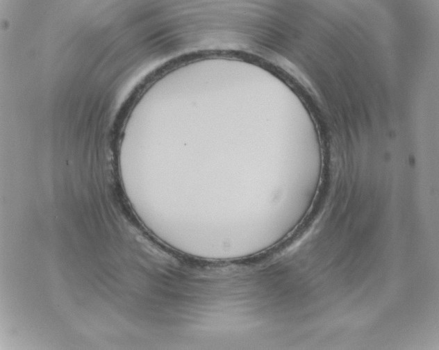 X0000070830926200607142337