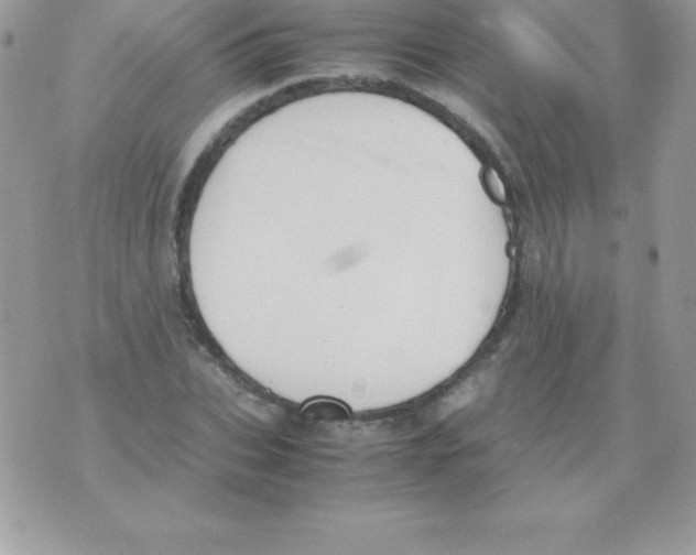 X0000070830927200607142337