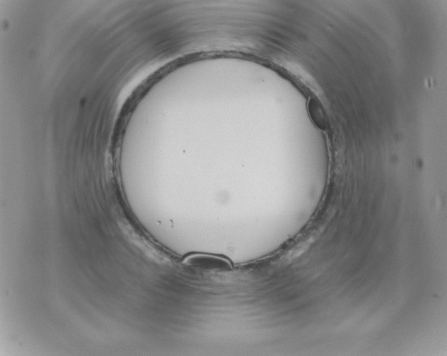 X0000070830928200607142337