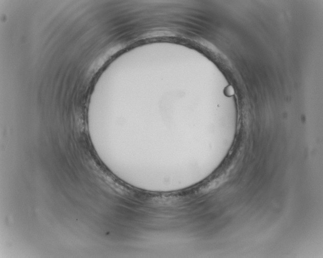 X0000070830929200607142337