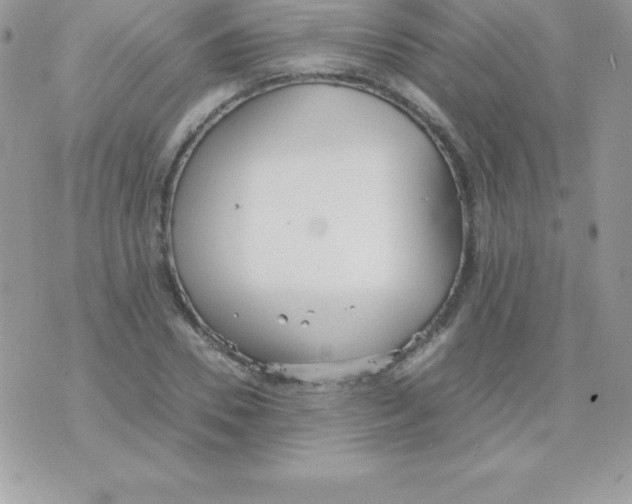 X0000070830930200607142337